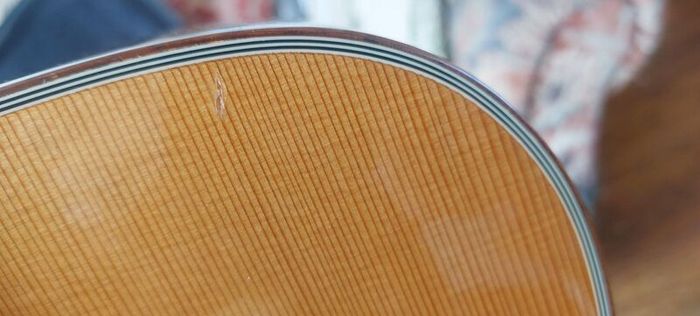 Breedlove Cascade D/CRe +LR Baggs VTC and Hardshell Original Case