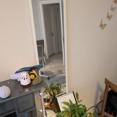 White Full-Length Mirror