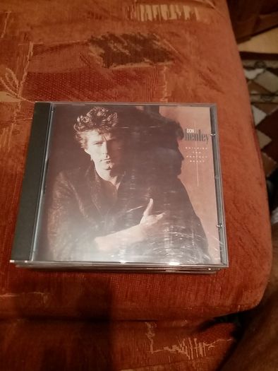 Cd Don Henley Building The Perfect Beast