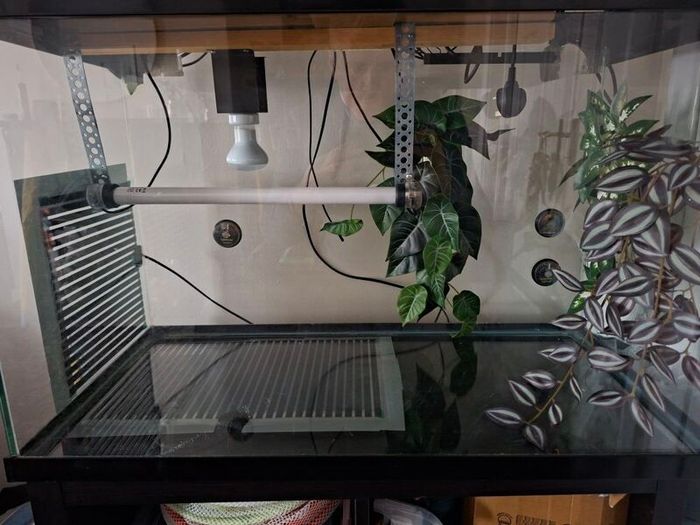 Leopard Gecko Vivarium / Reptile Tank , Full Setup