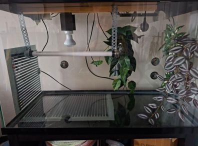 Leopard Gecko Vivarium / Reptile Tank , Full Setup