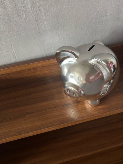 Silver-tone Finish Metal Piggy Bank