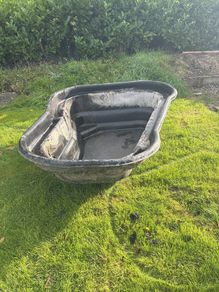 Fish Pond