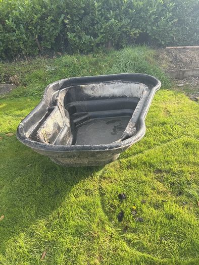 Fish Pond