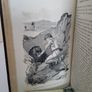 David: Shepherd, Psalmist, King by F. B. Meyer (GT74) Image 5