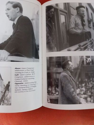 James Dillon/A Biography/ Maurice Manning/1999/ 1st edition/ Wolfhound Press