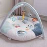 Baby gym Image 5