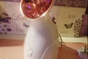 New - Face steamer