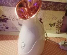 New - Face steamer