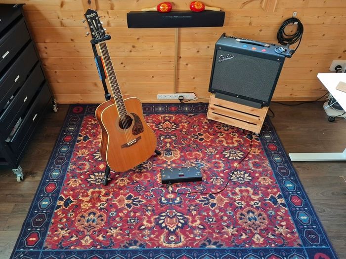 Persian Style Guitar/Drum/Music Room Rug