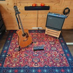 Persian Style Guitar/Drum/Music Room Rug
