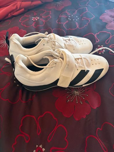 SBD knee & Elbow sleeves, adidas adi power 2 shoes