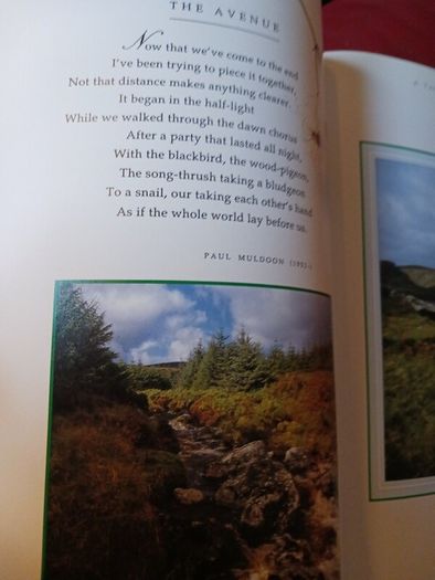 A Treasury of Irish Verse / 2002