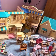 Sylvanian family collection