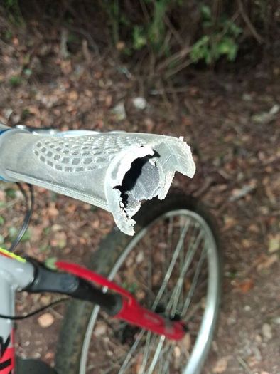 mountain bike kids