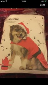 Dogs new Xmas suit size L