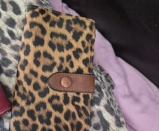 purse