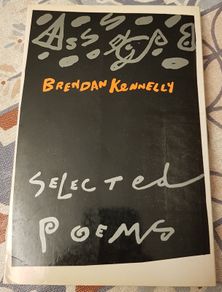 Selected Poems of Brendan Kennelly