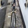 Raleigh Record 501 racer Image 2