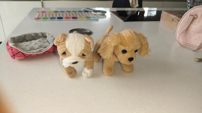 Puppy teddies (our generation)