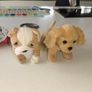 Puppy teddies (our generation) Image 3