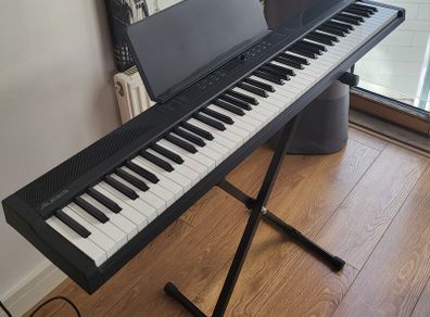organ keyboard
