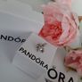 New genuine pandora Ram charm Image 2