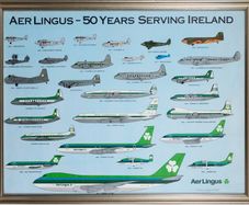Rare 1986 Aer Lingus Golden Jubilee Framed Lithograph Poster