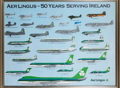 Rare 1986 Aer Lingus Golden Jubilee Framed Lithograph Poster