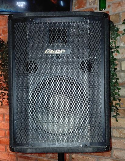 Pair of Carlsbro Speakers