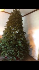 8ft christmas tree