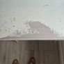 dressing Image 5