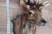 Deer head 2