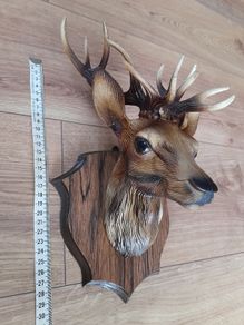 Deer head 2