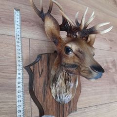 Deer head 2