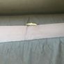 Ikea 2 seater sofa bed Image 5