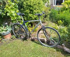Mens bike - old but solid