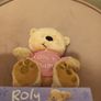 Mothers day mini teddy Image 2