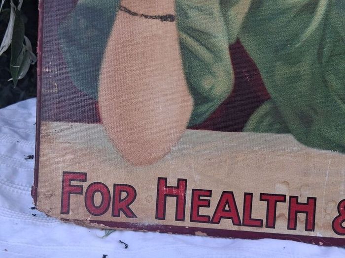 Original Wincarnis Art Nouveau Cardboard Sign
