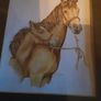 equestrian: horse and foal Image 2