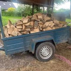 Firewood