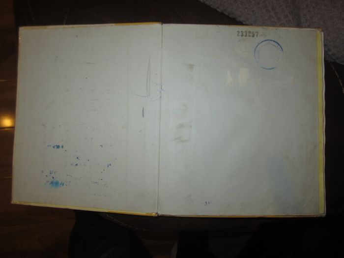 Vintage cowboy book