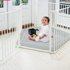 Play Pen with Gate