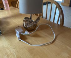 Lamp - bird