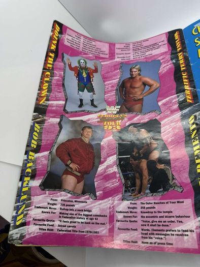 Wwe WWF European spring Tour 1993 Official souvenir Programme
