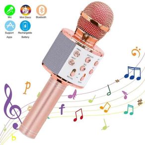 Handheld Wireless Karaoke Microphone USB Speaker Microphone for Kids Music Player Singing Recorder KTV