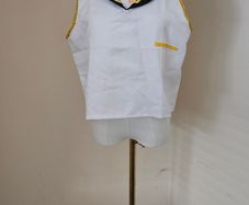 Cosplay Kagamine Rin