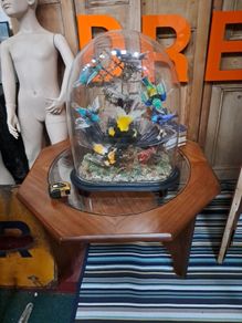 Antique Taxidermy