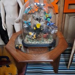 Antique Taxidermy