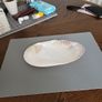 Abalone shell large Image 2